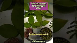 hariyaliteejप्रदोषउपाय pradeepmishra pradeepmishraji vitthleshsevasamiti explore [upl. by Nylear]