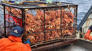 Amazing Catch Hundreds Tons Alaska King Crab With Modern Big Boat  Amazing Crab Fishing on the sea [upl. by Natale]