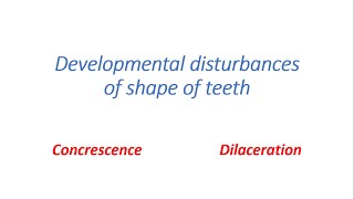 Concrescence  Dilaceration [upl. by Aciras116]