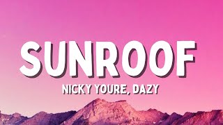 Nicky Youre dazy  Sunroof Lyrics [upl. by Ecart]