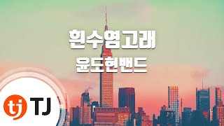 TJ노래방 흰수염고래  윤도현밴드  TJ Karaoke [upl. by Oetomit]