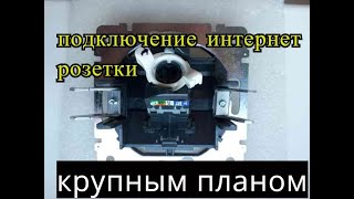 Как подключить интернет розетку Схема подключения витой пары [upl. by Van]