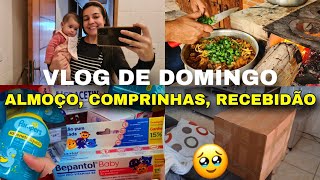 VLOG ALMOÇO DE DOMINGO VACINA DE 4 MESES COMPRINHAS DE FARMÁCIA E RECEBIDOS PARA A BEBÊ [upl. by Aicrop]