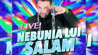 Florin Salam Nebunia lui Salam Colaj Manele Live [upl. by Ahseia]