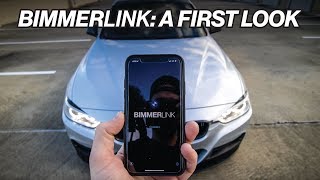 BIMMERLINK A FIRST LOOK amp WALKTHROUGH [upl. by Pederson]