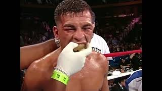 Arturo Gatti vs Micky Ward I  Highlights FIGHT of the Year [upl. by Anaerb77]