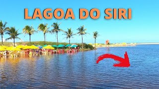 🦀Lagoa do Siri em Marataízes [upl. by Freda]