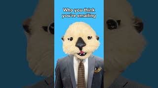 Who you think you’re emailing otters otter puppet [upl. by Talya]