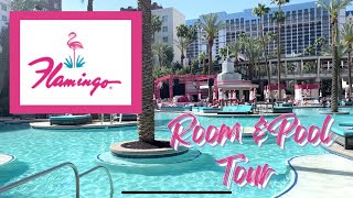 We had Adjoining Rooms at Flamingo Las Vegas 🦩 POOL amp ROOMS Tour 🦩 [upl. by Revolc101]