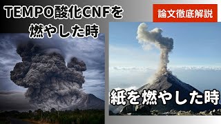 【論文2017】燃えカスの多いNa型TEMPOCNF [upl. by Hayotal575]