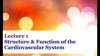 Lecture 1  Introduction to the Cardiovascular System [upl. by Dougy]