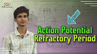 Action Potential in neuron  Refractory Period in bangla [upl. by Allx]