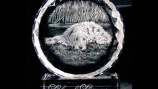 Glass Engraving by Lesley Pyke  quotDogsquot [upl. by Edgardo419]