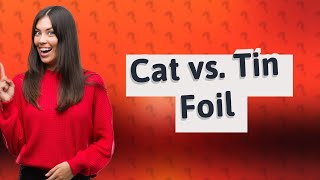 Why do cats hate tin foil [upl. by Eirol190]