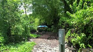 Drone Aerial video of the ruins in Lelu Island located in the State of Kosrae [upl. by Cadmarr]