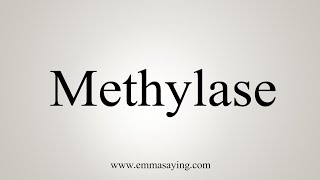 How To Say Methylase [upl. by Ashok]