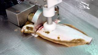 Cutting and Separating Fish in an Instant Sashimi Automatic Mass Production Factory Process [upl. by Naejamron]