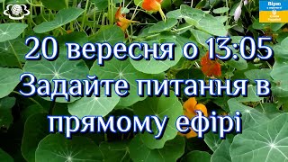 20 вересня о 1305 Поговоримо про quotЦілющі властивості КРАСОЛІquot [upl. by Netsyrk513]