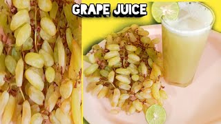 घरीच बनवा द्राक्षाचा थंडगार ज्यूस Grape juicesolapur recipe in marathi [upl. by Willey]