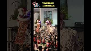 Lion Dance in Vietnam during MidAutumn Festival  MUST WATCH [upl. by Sitnalta436]