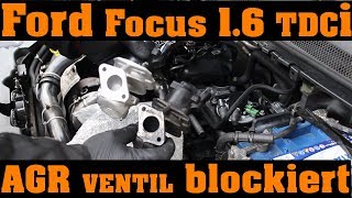 Ford Focus 16 TDCi  AGR Ventil wechseln und zurücksetzen 🔧👨🔧 [upl. by Asseralc]