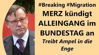 Wie Ernst meint es Merz Werden Brandmauern temporär abgerissen FDP hofft Rettung Beißt SPD zu [upl. by Eveineg798]