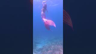 Watch me dance the night away 𝒖𝒏𝒅𝒆𝒓𝒘𝒂𝒕𝒆𝒓 💃 mermaid barbie mermaidtail ocean barbie [upl. by Hildick]