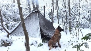 Winter Snowstorm Camping With My Dog  Bushcraft Survival Stove Cooking Nature Movie Asmr [upl. by Aiyot710]