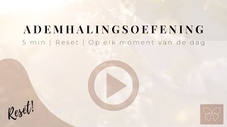 Ademhalingsoefening  5 min  Reset amp Ontspan [upl. by Kristel]