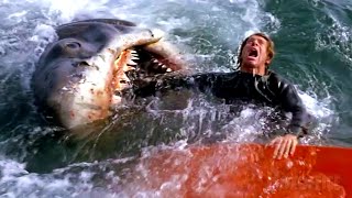 All the best shark attacks from Jaws 🌀 4K [upl. by Alios]