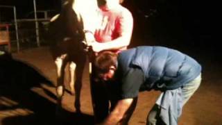 Horse gets Oiled for Colic [upl. by Stillmann125]