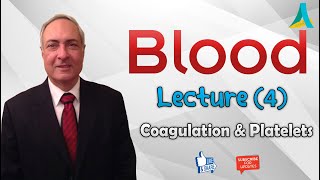 DrNagi  Live Physiology  Lecture 27  Blood 4  Coagulation amp Platelets [upl. by Rose432]