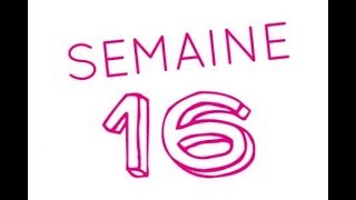 16éme semaine de grossesse  18ème semaine d’aménorrhée [upl. by Nymrak]