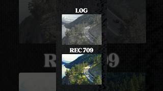 LOG VS REC709 Video  Whats The Difference [upl. by Nevla]