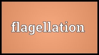 Flagellation Meaning [upl. by Solenne234]