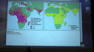 Aherns Biochemistry 9  Hemoglobin II amp Enzymes I [upl. by Torrance]