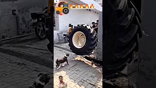 tyr Swaraj 855 ke he youtubeshorts nishudaswal nisha popular tractorlover rohitdeshwal tyre [upl. by Atinid]