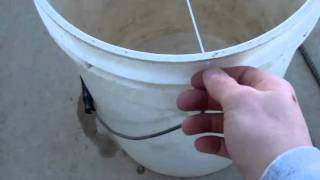 5 Gallon Bucket Mouse Trap [upl. by Igiul]