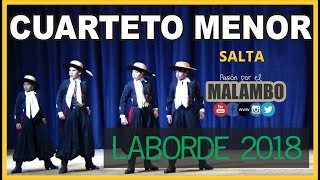 Laborde 2018 Malambo Cuarteto MENOR quotSALTAquot  Festival Nacional del Malambo [upl. by Zins]