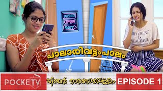 Palarivattom Paalam  Episode 1  Ginger Narangavellam  New malayalam web series [upl. by Deery]