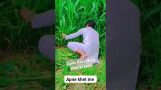 Apne Khet Mein jwar ki katai buhut hi Sandar masala alnasheedhamid [upl. by Barta]