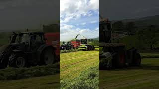 Claas 890 Jaguar Valtra and John Deere lifting Silage 2024 [upl. by Cecil779]