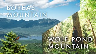 Hiking Boreas and Wolf Pond Mountains  Adirondack 100 Highest  Elk Lake [upl. by Remus]