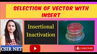 Insertional Inactivation  Replica Plating  Selection of Vector with Insert  L3  CSIR UGC NET [upl. by Minni]