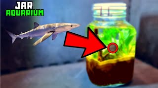 I turned a jar into an aquarium THIS Happened [upl. by Wendolyn625]