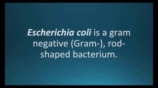 How to pronounce Escherichia coli E coli Pharmcabulary for Memorizing Pharmacology Flashcard [upl. by Milone]