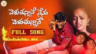 Veluthunnane Nenu Veluthunnane Full Song  Lovefailure Song  dilipdevgan peddapallitunes [upl. by Aisitel]