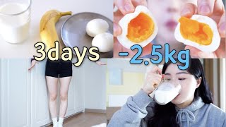 Diet｜🔥3일동안 25kg｜단기간 다이어트 feat전효성님 다이어트 [upl. by Eckart786]