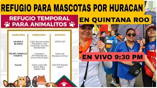 EL HUESITOS DUERME EN PATITAS INVISIBLES  MARCHA POR LOS DERECHOS DE LOS ANIMALES [upl. by Ylimme19]