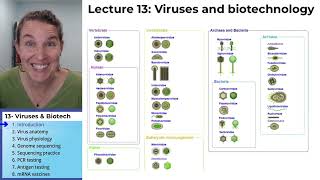 Biotechnology 1 Introduction [upl. by Holly-Anne]